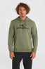 O'Neill Logo Hoodie - Deep Lichen Green