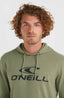 O'Neill Logo Hoodie - Deep Lichen Green