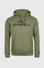 O'Neill Logo Hoodie - Deep Lichen Green