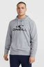 O'Neill Logo Hoodie