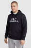 O'Neill Logo Hoodie