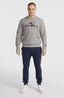 O'Neill Logo Crew - Silver Melee