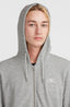 O'Neill Small Logo Fz Hoodie - Silver Melee