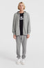 O'Neill Small Logo Fz Hoodie - Silver Melee