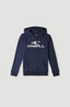 O'Neill Logo Hoodie - Ink Blue