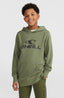 O'Neill Logo Hoodie - Deep Lichen Green