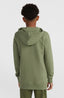 O'Neill Logo Hoodie - Deep Lichen Green