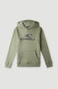 O'Neill Logo Hoodie - Deep Lichen Green