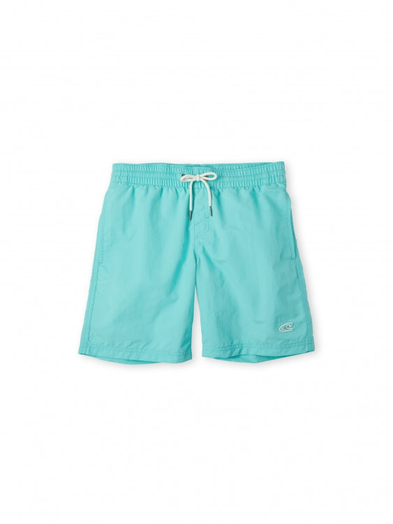 Vert 14" Swim Shorts - Aqua Spalsh