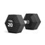 Tiguar HEX dumbbell 20 kg