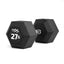 Tiguar HEX dumbbell 27.5 kg Tiguar