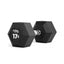 Tiguar HEX dumbbell 17.5 kg Tiguar